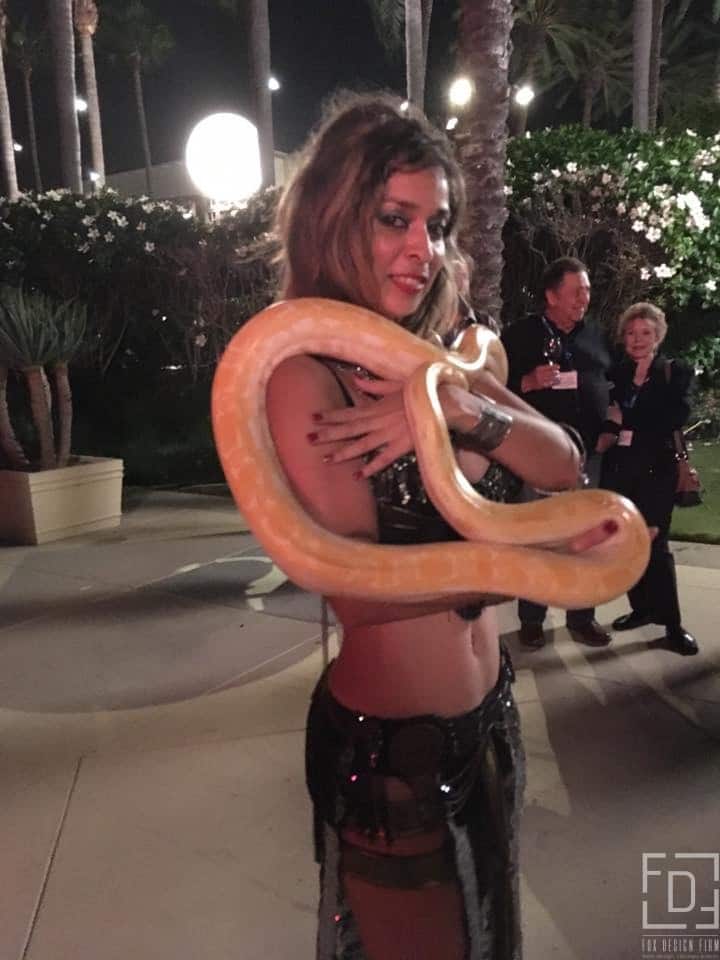 snake charmer for events